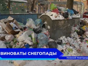 На улице Бекетова сотрудники ГЖИ провели рейд по заваленным мусором контейнерным площадкам